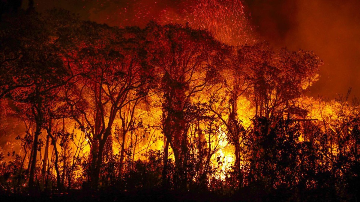 Pantanal: por que chuvas não são suficientes para proteger bioma de fogo recorde