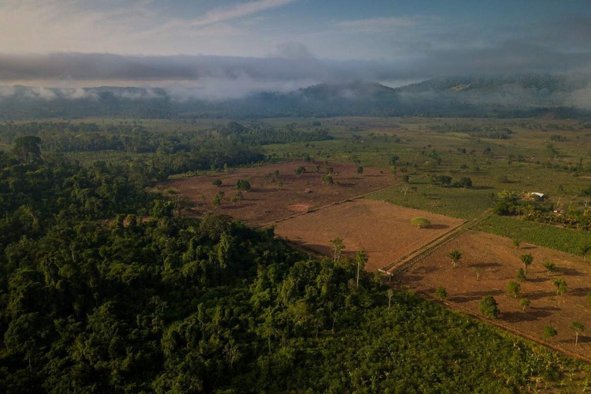 Pará vai conceder área ameaçada da Amazônia para recuperação pela iniciativa privada