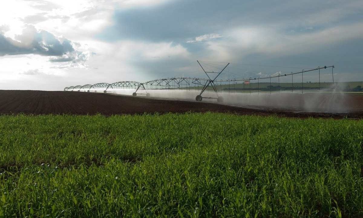 Pivô central atuando em área de agricultura -  (crédito: Walbron Siqueira )