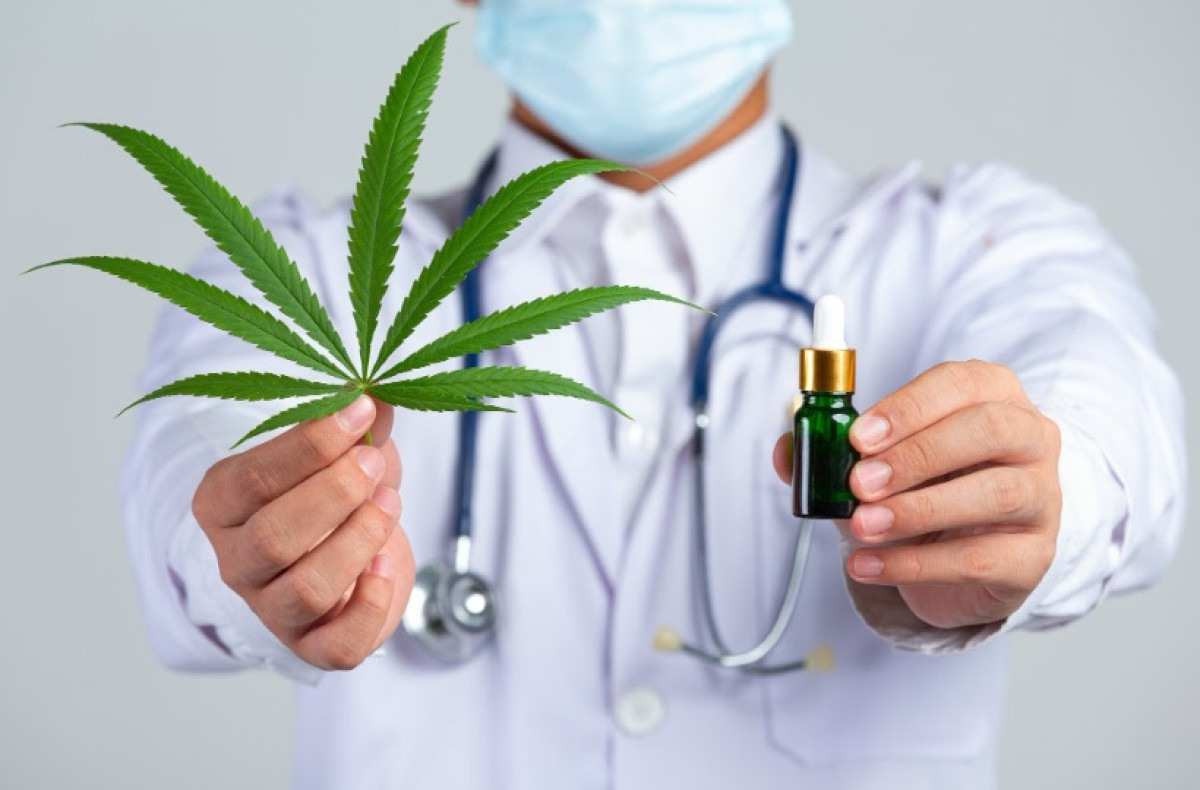 Cannabis e saúde mental: o canabidiol pode substituir os medicamentos alopáticos?