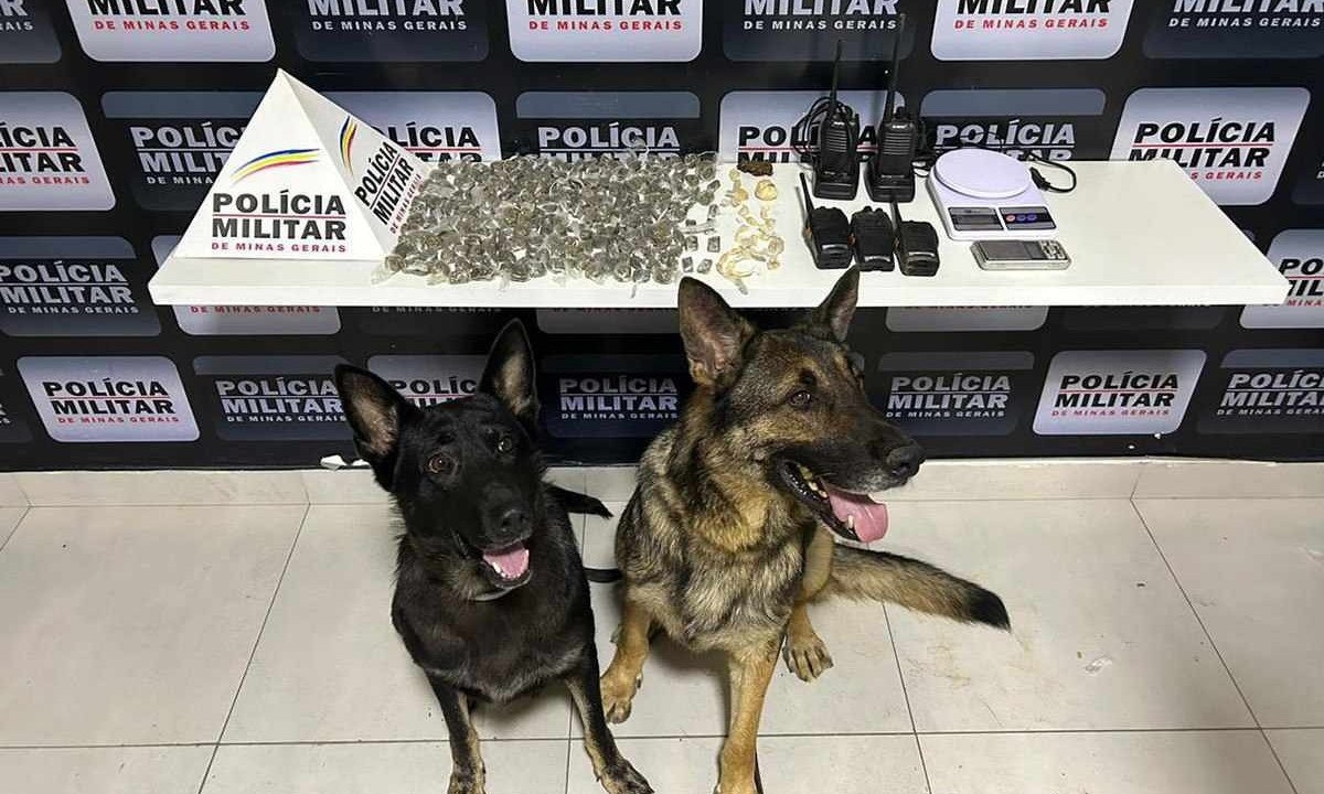 Aquiles e Kacau, cães farejodores da Companhia Tático Móvel da Polícia Militar de Minas Gerais (PMMG), Ronda Ostensivas com Cães - ROCCA

