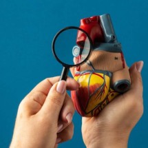 Fatores que protegem coração  também ajudam a prevenir doença renal crônica, diz estudo - Freepik