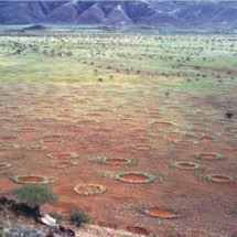 Círculos misteriosos são identificados em mais de 200 locais no mundo - wikimedia commons Stephan Getzin