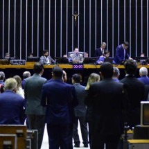 Câmara aprova regulamentação do mercado de carbono e mantém agro fora - Zeca Ribeiro/Câmara dos Deputados