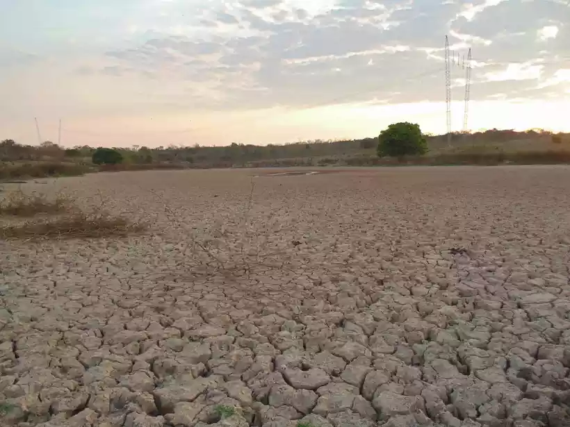 Força-tarefa do governo federal vai socorrer cidades atingidas pela seca em Minas - Luiz Ribeiro/EM/D.A Press