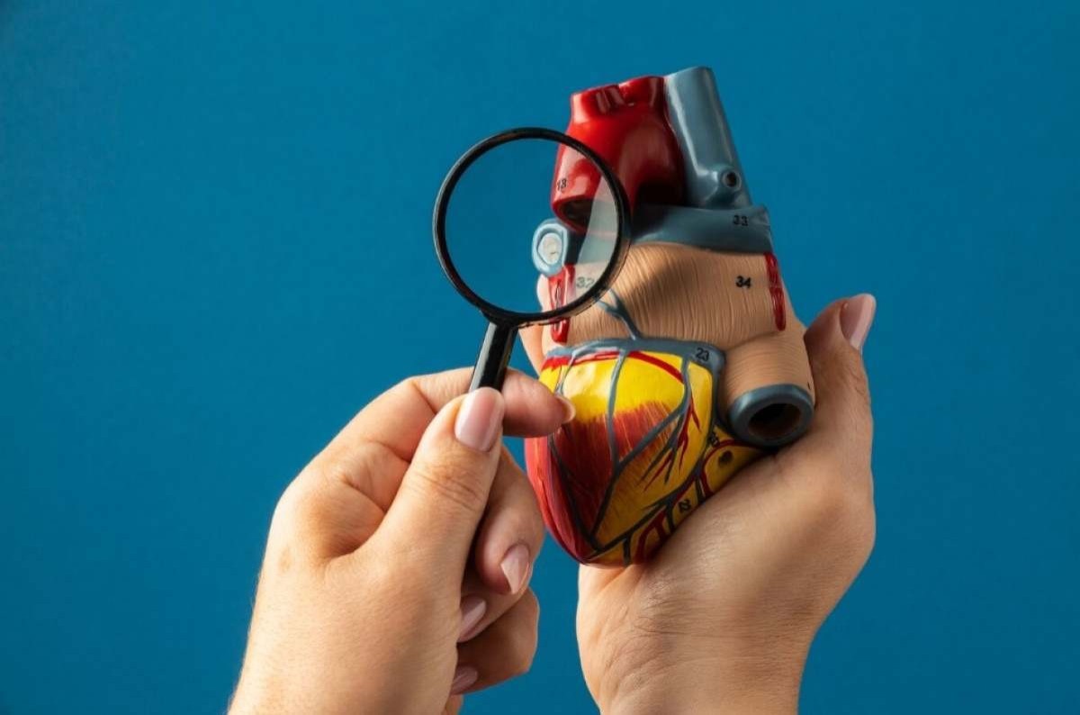 Fatores que protegem coração  também ajudam a prevenir doença renal crônica, diz estudo