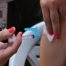 Qdenga: Ministério da Saúde incorpora vacina contra a dengue no SUS - EBC - Saúde
