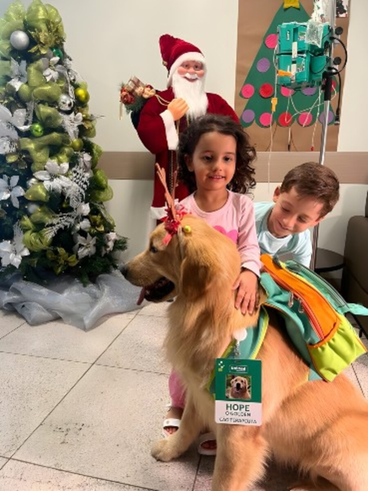 Cão terapeuta visita pacientes do Hospital Infantil São Camilo Unimed