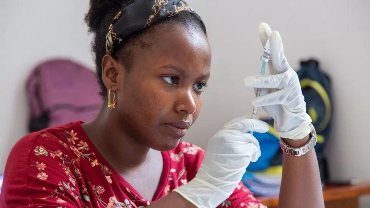 Depois de mais de um século de esforços científicos, surgiu finalmente vacina acessível contra malária -  (crédito: Universidade de Oxford)