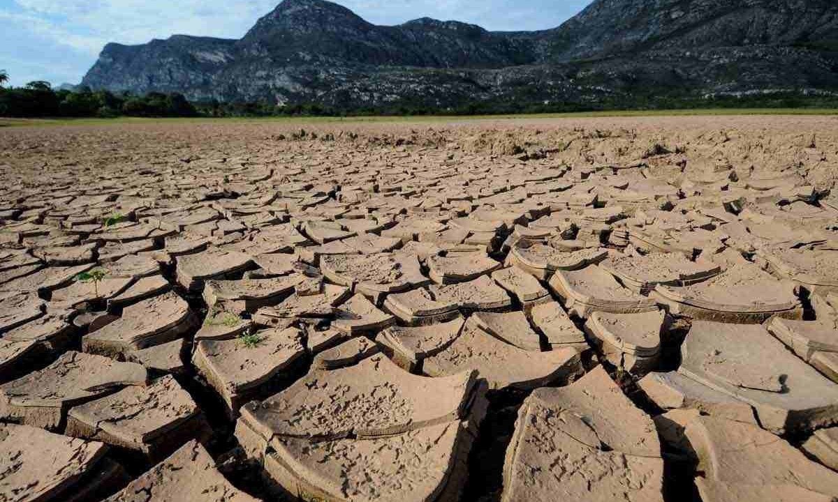 NO ANO PASSADO 81 CIDADES ENTRARAM EM EMERGÊNCIA POR CONTA DA SECA. EM 2023 ESSE NÚMERO MAIS QUE DOBROU -  (crédito: Leandro Couri/EM/D.A.Press. 25/10/2023)