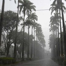 Último dia do ano será de céu nublado e pancadas de chuva em Minas - Túlio Santos / EM / D.A Press
