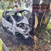 Motorista bate em árvore em rodovia de Minas e morre carbonizado - PMRv