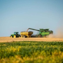 Após fartura de 2023, agro inicia 2024 menos otimista - rawpixel.com / U.S. Department of Agriculture