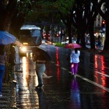 BH: em apenas 2 dias, já choveu quase 40% do esperado para o mês na Pampulha - Ramon Lisboa/EM/D.A. Press
