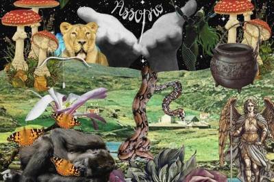 Detalhe da colagem criada por Jojo Hissa para a capa de "Assopro" Colagem de Jojo Hissa