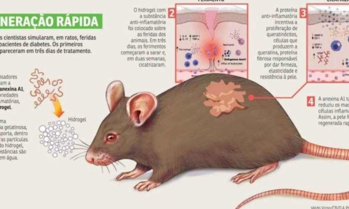 Hidrogel cicatriza feridas em pessoas com diabetes, mostra pesquisa brasileira  -  (crédito:  Valdo Virgo/CB/D.A. Press)