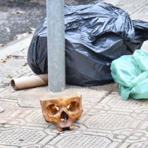 Crânio humano assusta moradores ao aparecer na rua em Governador Valadares - Polícia Militar/Divulgação