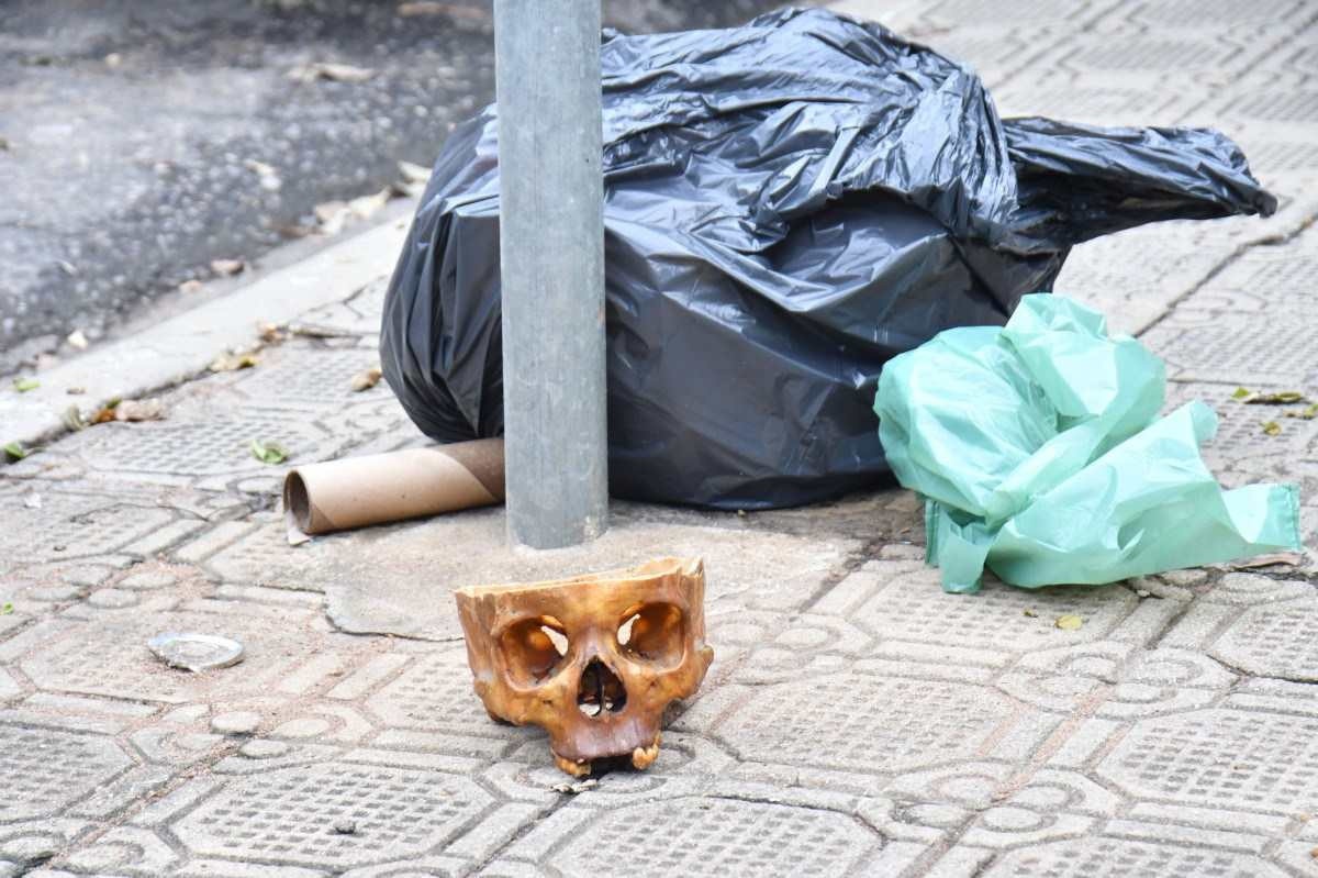 Crânio humano assusta moradores ao aparecer na rua em Governador Valadares