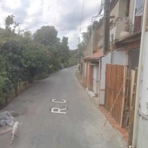 Homem é preso tentando comer cachorro no interior de MG - Google Street View