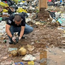 Mais dois crânios humanos são encontrados em meio ao lixo em Governador Valadares - Polícia Militar/Divulgação