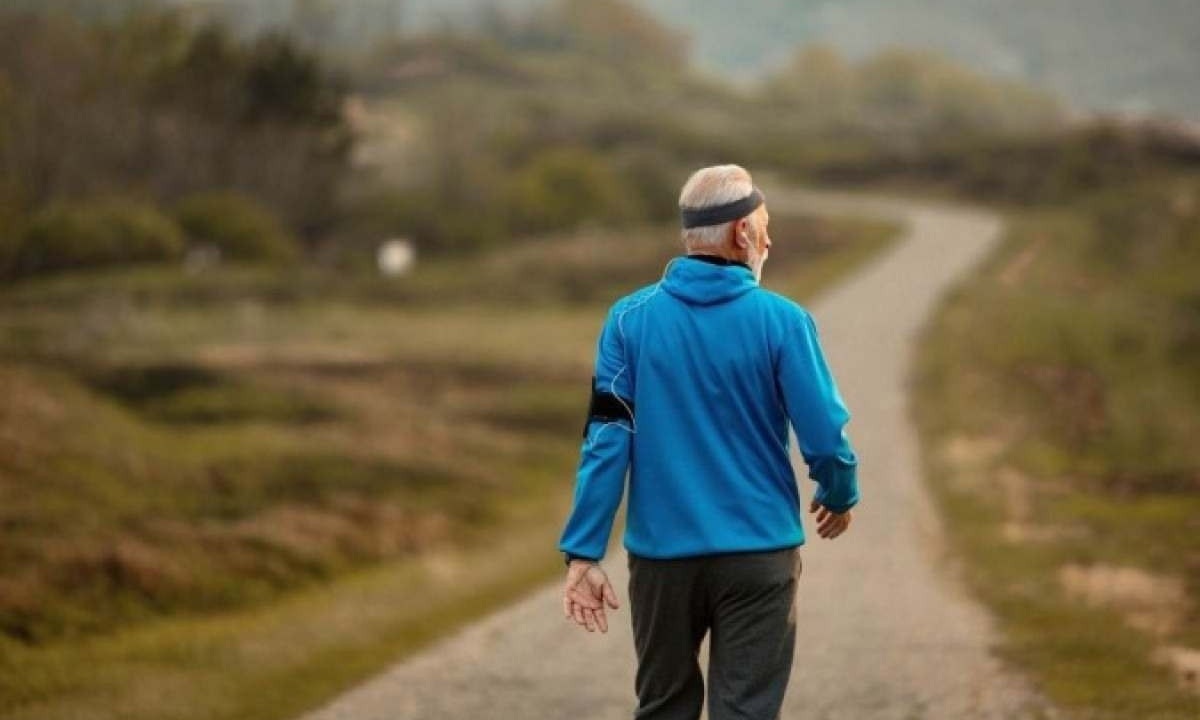 Os responsáveis pelo estudo destacam que os altos níveis de HDL observados foram incomuns e não relacionados à dieta, ponderando ser mais provável algum tipo de distúrbio metabólico  -  (crédito:  Picture of Drazen Zigic/Freepik)