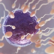 Fertilidade e câncer: técnicas de reprodução assistida são alternativa para realizar o sonho da maternidade - Freepik