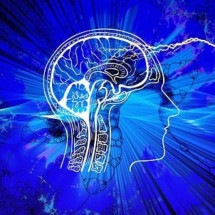 Quatro dicas da neurociência para ter o cérebro mais produtivo em 2024 -   Gerd Altmann/Pixabay