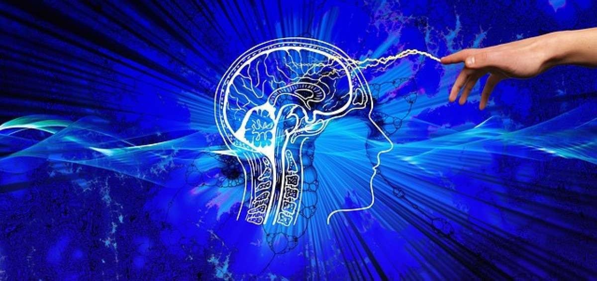 Quatro dicas da neurociência para ter o cérebro mais produtivo em 2024