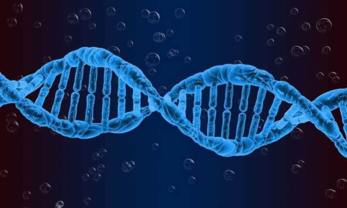 Cientistas da Universidade de Tóquio, no Japão descobriram elementos do genoma humano que podem atuar na supressão de tumores dentro das células  -  (crédito: Pete Linfhort/Pixbay/Divulgação)
