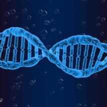 Saiba como a genética pode ajudar no combate ao câncer - Pete Linfhort/Pixbay/Divulgação