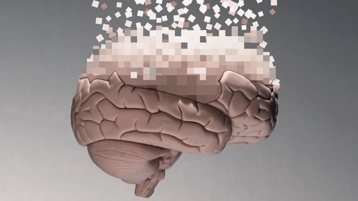 A partir dos 40 anos de idade, o cérebro humano passa por reconfigurações radicais -  (crédito: Getty Images)