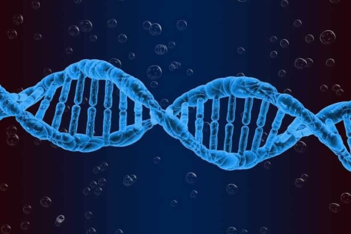 Saiba como a genética pode ajudar no combate ao câncer