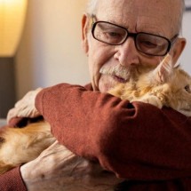 Pets ajudam a reduzir risco de demência em pessoas com mais de 50 anos - Freepik