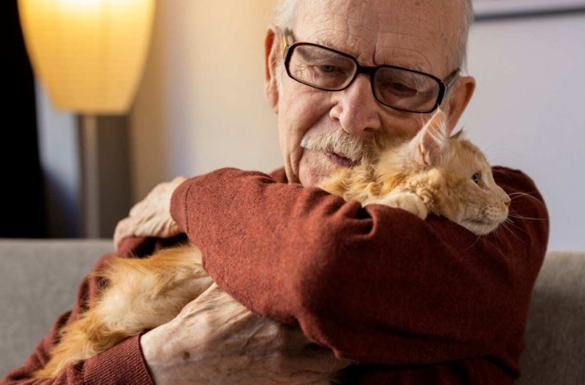 Pets ajudam a reduzir risco de demência em pessoas com mais de 50 anos