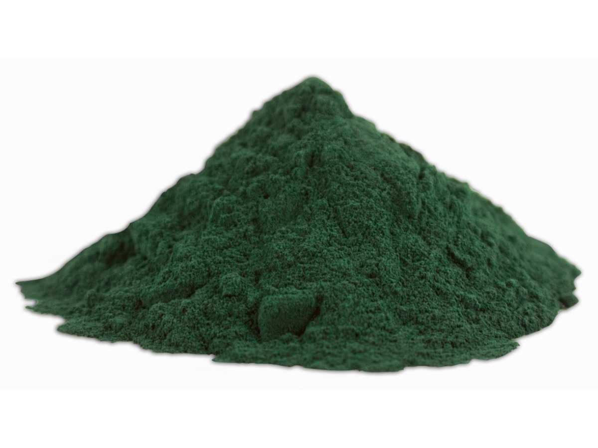 Spirulina: o que é e qual sua importância para a saúde?