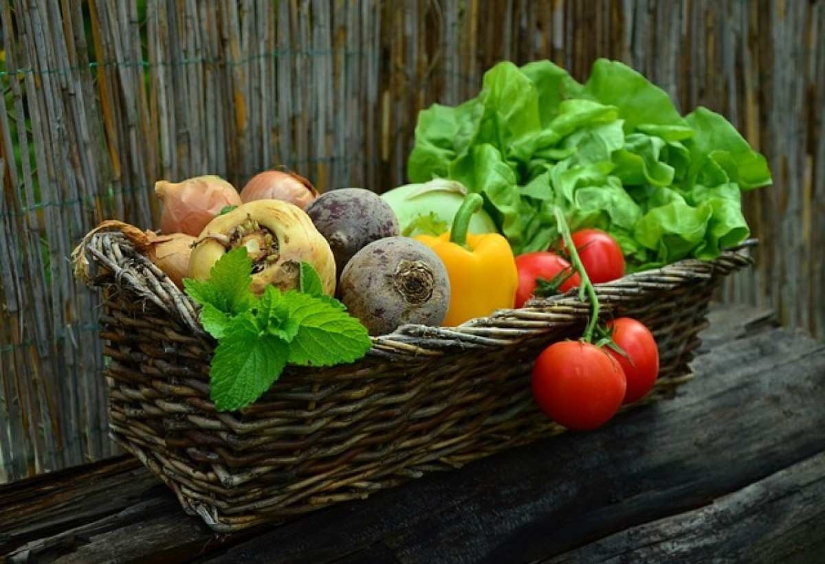 Quem faz dieta vegetal tem menor incidência de COVID; diz estudo