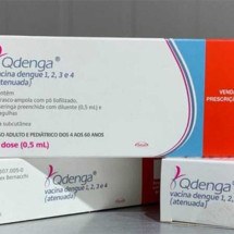 Qdenga é eficaz contra tipo 2 da dengue, mas faltam dados para uso no público geral, dizem especialistas - Ag&ecirc;ncia Senado