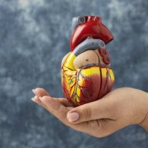 Coração biorobótico é esperança para doenças cardíacas - Reprodução/Freepik
