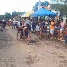 Festa popular em MG tem 'corrida de galinha' e concurso de 'roedor de pequi' - Luiz Ribeiro/DA Press 14.01.2023