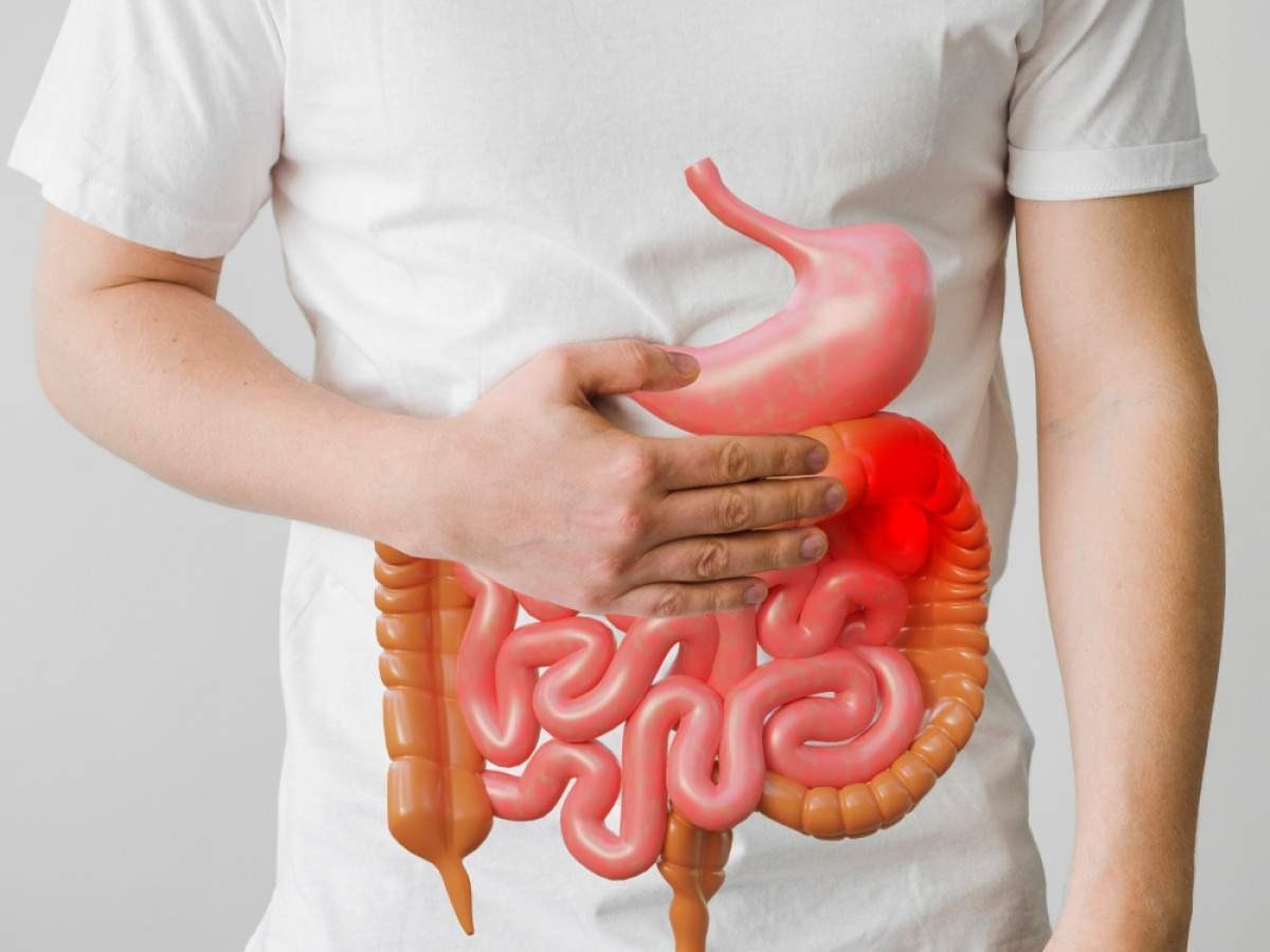 Microbiota intestinal: veja como a saúde do intestino pode afetar o corpo t