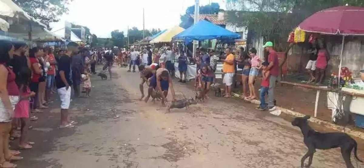 Festa popular em MG tem 'corrida de galinha' e concurso de 'roedor de pequi'