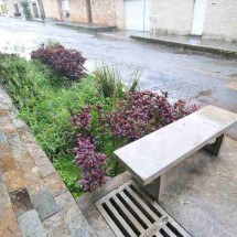 Jardins de chuva: beleza na prevenção de alagamentos - Alexandre Guzanshe/EM/D.A Press