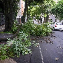 Belo Horizonte sob alerta de tempestade com raios e ventania - Leandro Couri/EM/D.A.Press