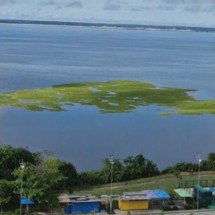 Nível dos rios sobe e Amazônia respira após seca histórica - Reprodução TV Globo