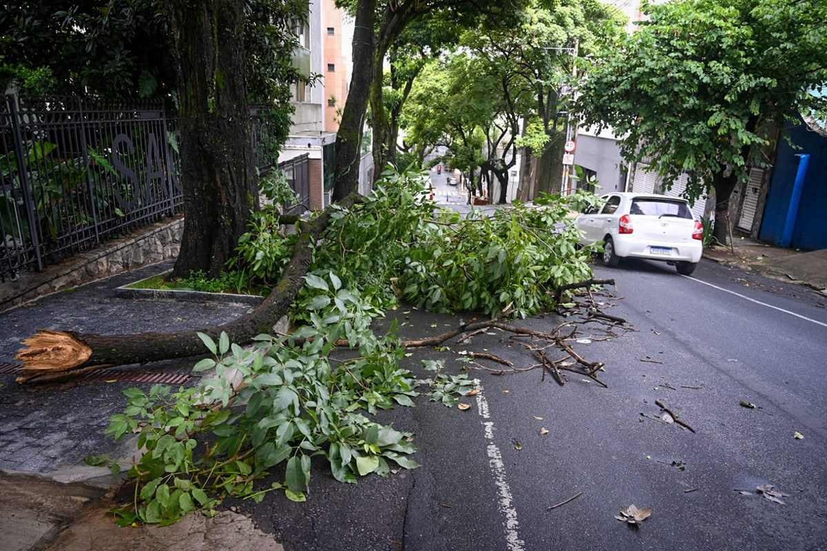 Belo Horizonte sob alerta de tempestade com raios e ventania