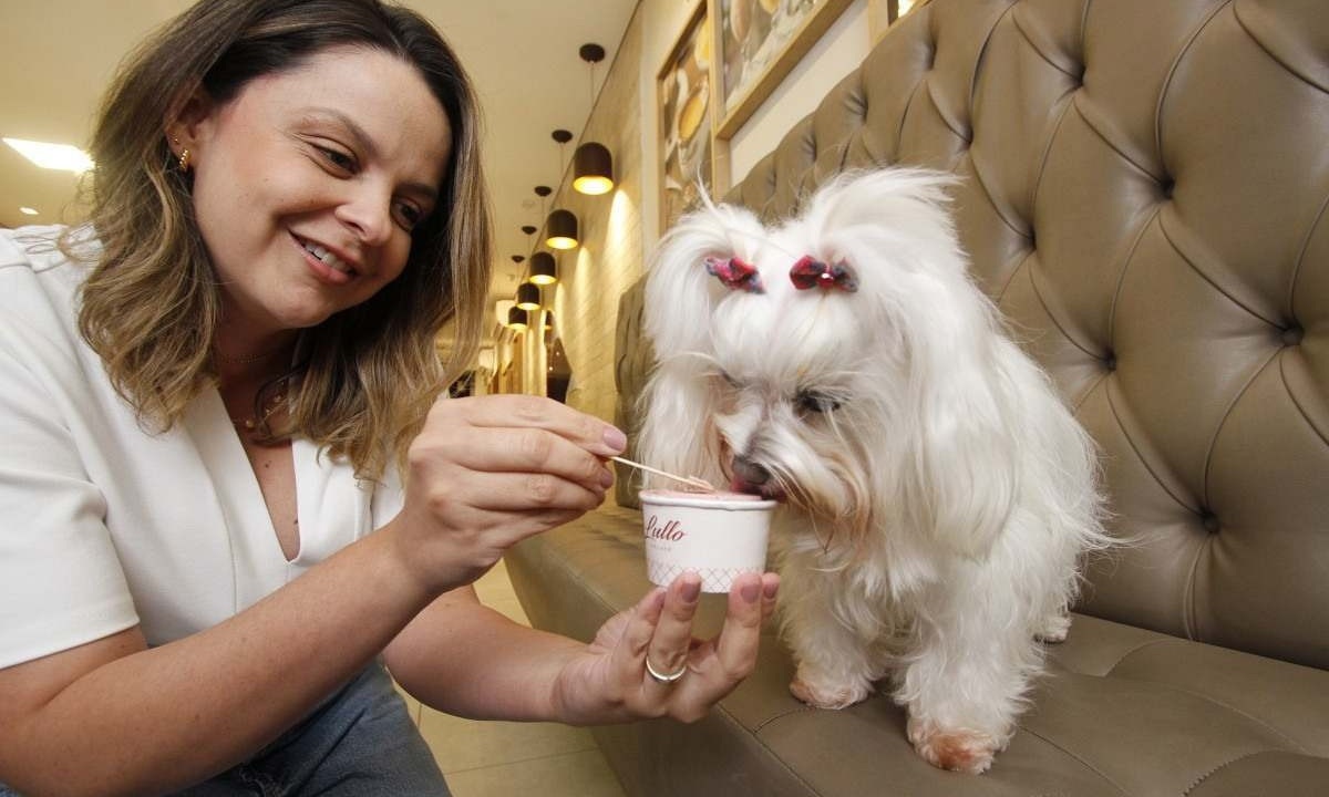 Kamilla Figueiredo toma sorvete com a maltês Pituca na Lullo Gelato