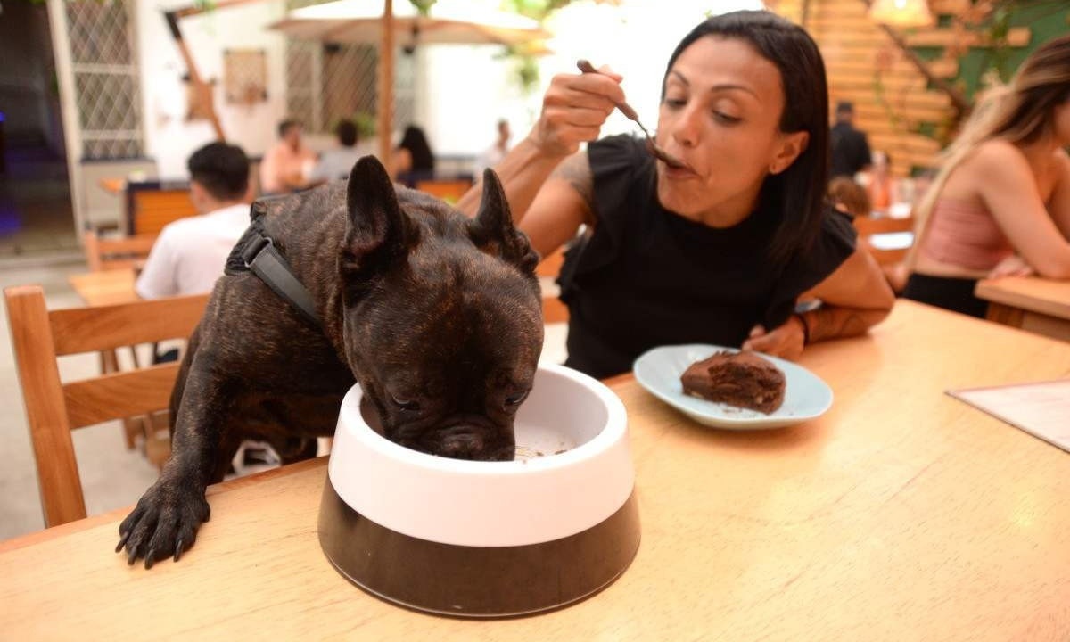 Enquanto Luiza Pimentel come bolo de banana com chocolate, seu cão Taz se delicia com a comida orgânica servida pelo Uluru Café
       -  (crédito: Túlio Santos/EM/D.A Press)