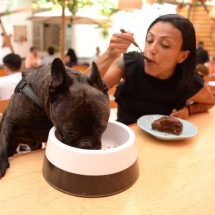 Conheça três lugares que servem menus especiais para cachorros - Túlio Santos/EM/D.A Press