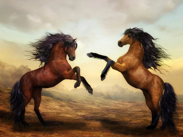 Conheça incríveis raças de cavalo espalhadas pelo planeta - Susann Mielke pixabay