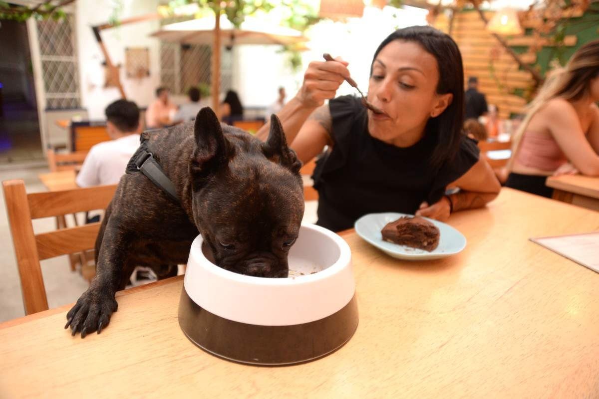 Conheça três lugares que servem menus especiais para cachorros